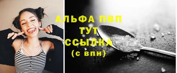 индика Россошь