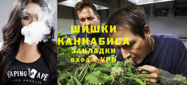 сатива Сафоново