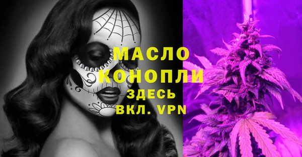 индика Россошь